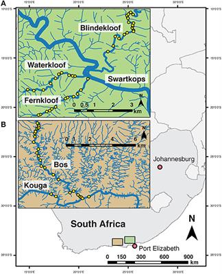 Detecting Native Freshwater Fishes Using Novel Non-invasive Methods